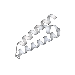 23670_7m4y_X_v1-4
A. baumannii Ribosome-Eravacycline complex: E-site tRNA 70S