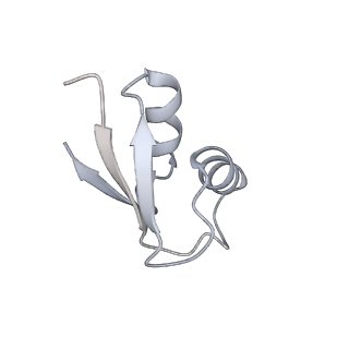 23670_7m4y_Y_v1-3
A. baumannii Ribosome-Eravacycline complex: E-site tRNA 70S