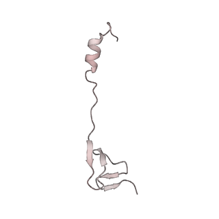 23670_7m4y_Z_v1-3
A. baumannii Ribosome-Eravacycline complex: E-site tRNA 70S