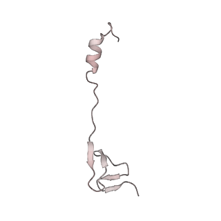 23670_7m4y_Z_v1-4
A. baumannii Ribosome-Eravacycline complex: E-site tRNA 70S