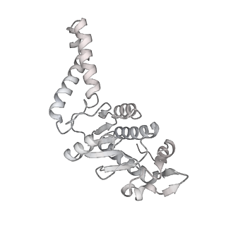 23670_7m4y_b_v1-3
A. baumannii Ribosome-Eravacycline complex: E-site tRNA 70S