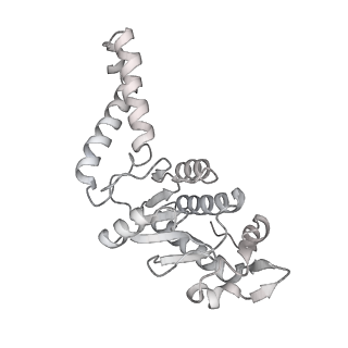 23670_7m4y_b_v1-4
A. baumannii Ribosome-Eravacycline complex: E-site tRNA 70S