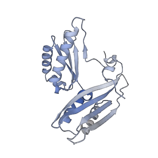 23670_7m4y_c_v1-3
A. baumannii Ribosome-Eravacycline complex: E-site tRNA 70S