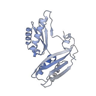 23670_7m4y_c_v1-4
A. baumannii Ribosome-Eravacycline complex: E-site tRNA 70S