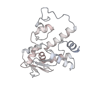 23670_7m4y_d_v1-3
A. baumannii Ribosome-Eravacycline complex: E-site tRNA 70S