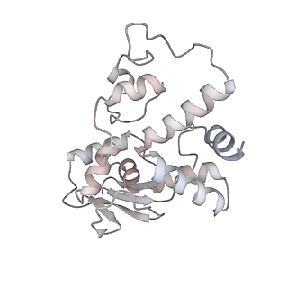 23670_7m4y_d_v1-4
A. baumannii Ribosome-Eravacycline complex: E-site tRNA 70S