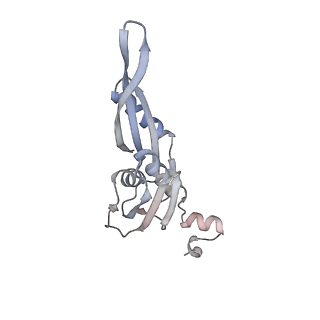 23670_7m4y_e_v1-3
A. baumannii Ribosome-Eravacycline complex: E-site tRNA 70S