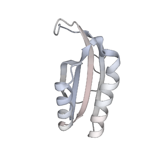 23670_7m4y_f_v1-3
A. baumannii Ribosome-Eravacycline complex: E-site tRNA 70S