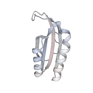 23670_7m4y_f_v1-4
A. baumannii Ribosome-Eravacycline complex: E-site tRNA 70S