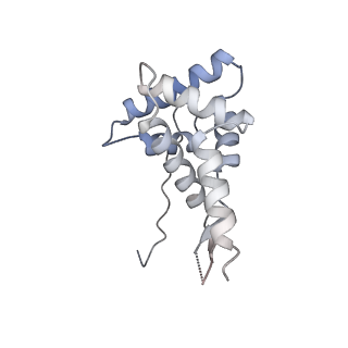 23670_7m4y_g_v1-3
A. baumannii Ribosome-Eravacycline complex: E-site tRNA 70S