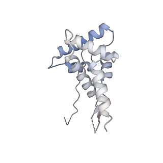 23670_7m4y_g_v1-4
A. baumannii Ribosome-Eravacycline complex: E-site tRNA 70S