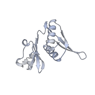 23670_7m4y_h_v1-3
A. baumannii Ribosome-Eravacycline complex: E-site tRNA 70S