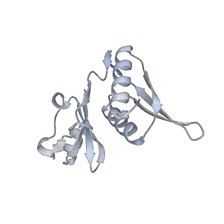 23670_7m4y_h_v1-4
A. baumannii Ribosome-Eravacycline complex: E-site tRNA 70S