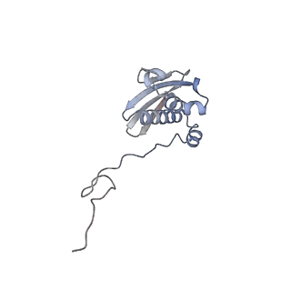 23670_7m4y_i_v1-3
A. baumannii Ribosome-Eravacycline complex: E-site tRNA 70S