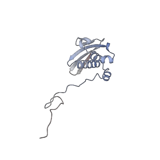 23670_7m4y_i_v1-4
A. baumannii Ribosome-Eravacycline complex: E-site tRNA 70S