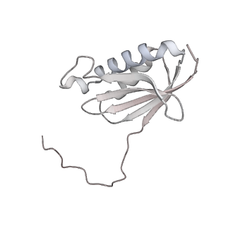 23670_7m4y_k_v1-3
A. baumannii Ribosome-Eravacycline complex: E-site tRNA 70S