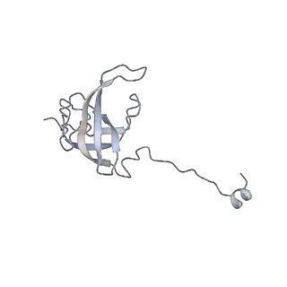 23670_7m4y_l_v1-3
A. baumannii Ribosome-Eravacycline complex: E-site tRNA 70S