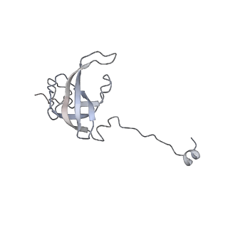 23670_7m4y_l_v1-4
A. baumannii Ribosome-Eravacycline complex: E-site tRNA 70S