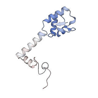 23670_7m4y_m_v1-3
A. baumannii Ribosome-Eravacycline complex: E-site tRNA 70S