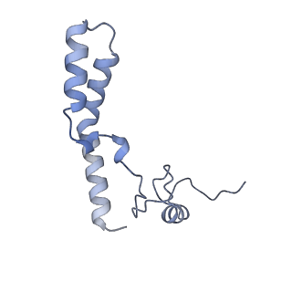 23670_7m4y_n_v1-3
A. baumannii Ribosome-Eravacycline complex: E-site tRNA 70S