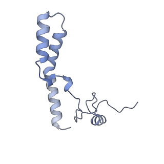 23670_7m4y_n_v1-4
A. baumannii Ribosome-Eravacycline complex: E-site tRNA 70S