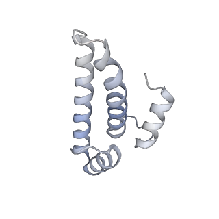 23670_7m4y_o_v1-4
A. baumannii Ribosome-Eravacycline complex: E-site tRNA 70S