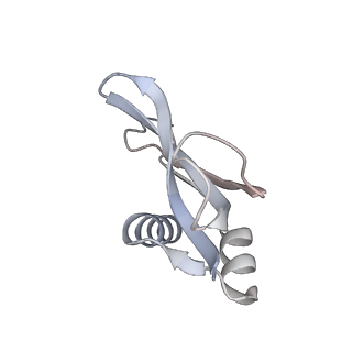 23670_7m4y_p_v1-3
A. baumannii Ribosome-Eravacycline complex: E-site tRNA 70S