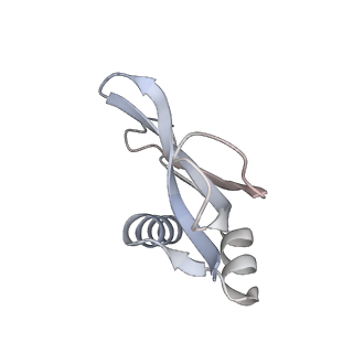 23670_7m4y_p_v1-4
A. baumannii Ribosome-Eravacycline complex: E-site tRNA 70S