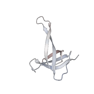 23670_7m4y_q_v1-3
A. baumannii Ribosome-Eravacycline complex: E-site tRNA 70S