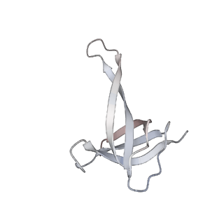 23670_7m4y_q_v1-4
A. baumannii Ribosome-Eravacycline complex: E-site tRNA 70S