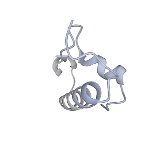 23670_7m4y_r_v1-3
A. baumannii Ribosome-Eravacycline complex: E-site tRNA 70S