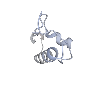 23670_7m4y_r_v1-4
A. baumannii Ribosome-Eravacycline complex: E-site tRNA 70S