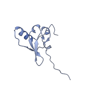 23670_7m4y_s_v1-3
A. baumannii Ribosome-Eravacycline complex: E-site tRNA 70S