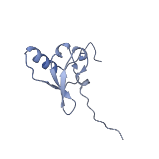 23670_7m4y_s_v1-4
A. baumannii Ribosome-Eravacycline complex: E-site tRNA 70S