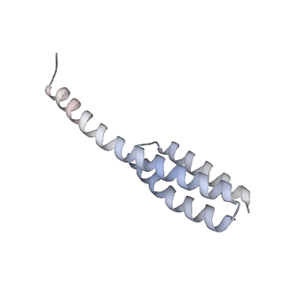 23670_7m4y_t_v1-4
A. baumannii Ribosome-Eravacycline complex: E-site tRNA 70S