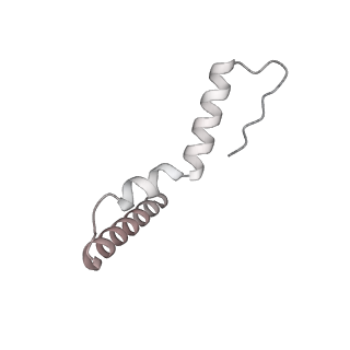 23670_7m4y_u_v1-4
A. baumannii Ribosome-Eravacycline complex: E-site tRNA 70S