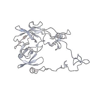 23671_7m4z_C_v1-3
A. baumannii Ribosome-Eravacycline complex: hpf-bound 70S