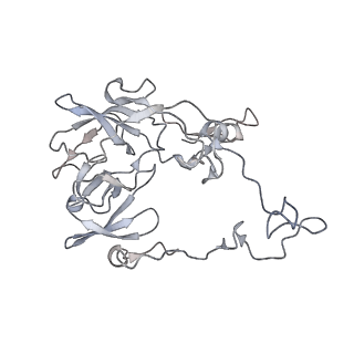 23671_7m4z_C_v1-4
A. baumannii Ribosome-Eravacycline complex: hpf-bound 70S