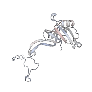 23671_7m4z_D_v1-3
A. baumannii Ribosome-Eravacycline complex: hpf-bound 70S
