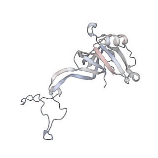 23671_7m4z_D_v1-4
A. baumannii Ribosome-Eravacycline complex: hpf-bound 70S