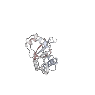 23671_7m4z_E_v1-3
A. baumannii Ribosome-Eravacycline complex: hpf-bound 70S