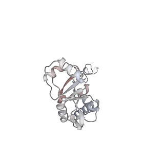 23671_7m4z_E_v1-4
A. baumannii Ribosome-Eravacycline complex: hpf-bound 70S