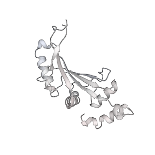23671_7m4z_F_v1-3
A. baumannii Ribosome-Eravacycline complex: hpf-bound 70S