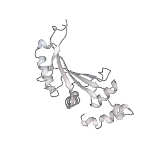 23671_7m4z_F_v1-4
A. baumannii Ribosome-Eravacycline complex: hpf-bound 70S