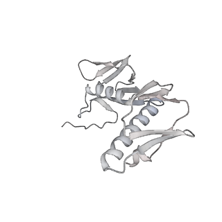 23671_7m4z_G_v1-3
A. baumannii Ribosome-Eravacycline complex: hpf-bound 70S