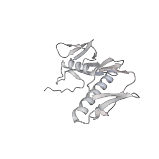 23671_7m4z_G_v1-4
A. baumannii Ribosome-Eravacycline complex: hpf-bound 70S