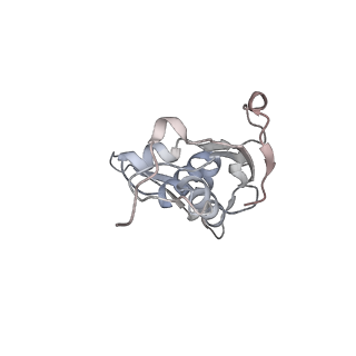 23671_7m4z_I_v1-3
A. baumannii Ribosome-Eravacycline complex: hpf-bound 70S