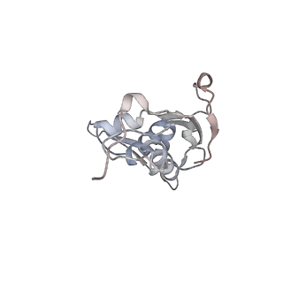 23671_7m4z_I_v1-4
A. baumannii Ribosome-Eravacycline complex: hpf-bound 70S