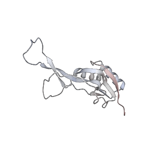 23671_7m4z_L_v1-3
A. baumannii Ribosome-Eravacycline complex: hpf-bound 70S