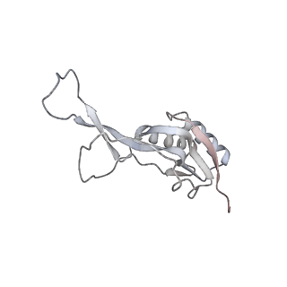 23671_7m4z_L_v1-4
A. baumannii Ribosome-Eravacycline complex: hpf-bound 70S